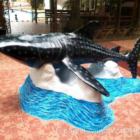 Tubod Flowing Water Resort Minglanilla Exterior foto